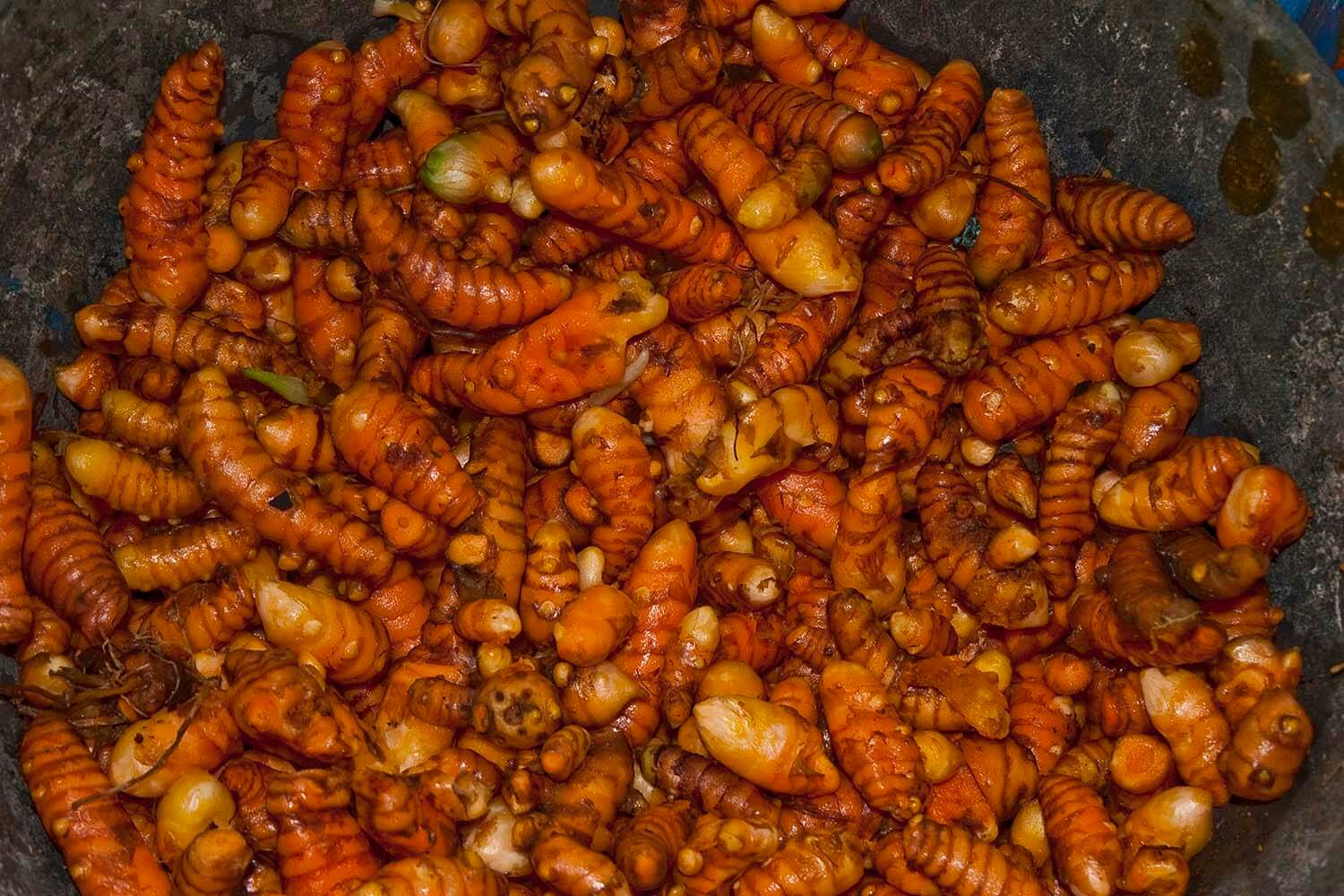 CURCUMA_galeria 02_MG_2324.jpg
